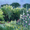 A Walk in the Garden