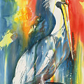 Funky Pelican