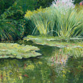 Reflections on Monets Lily Pond
